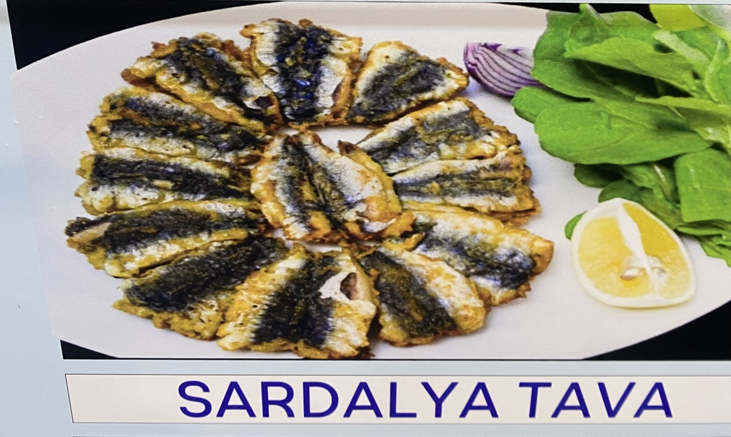 Sardalya